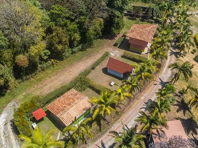 Finca Hotel Cabañas y Flores - Jericó, Antioquia - image - 1