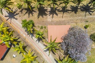 Planes Especiales - Finca Hotel Cabañas y Flores - Jericó, Antioquia - image - 3