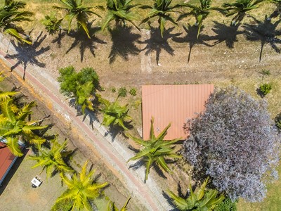 Finca Hotel Cabañas y Flores - Jericó, Antioquia - image - 19