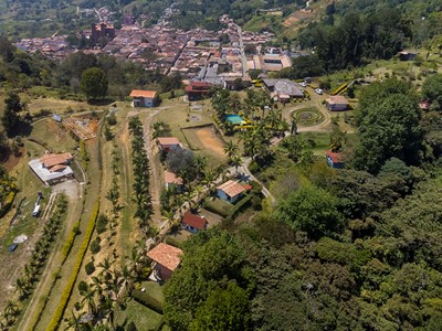 Finca Hotel Cabañas y Flores - Jericó, Antioquia - image - 20