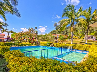 Finca Hotel Cabañas y Flores - Jericó, Antioquia - image - 6