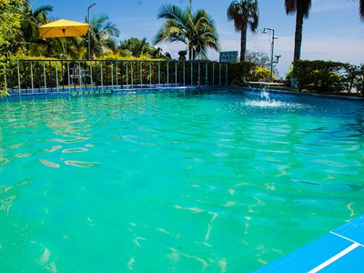 Finca Hotel Cabañas y Flores - Jericó, Antioquia - image - 9