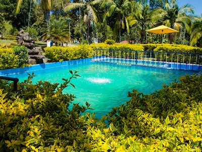 Finca Hotel Cabañas y Flores - Jericó, Antioquia - image - 3