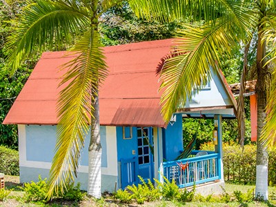 Finca Hotel Cabañas y Flores - Jericó, Antioquia - image - 27