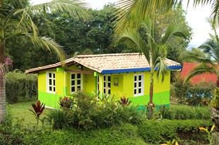 Jericó - Finca Hotel Cabañas y Flores - Jericó, Antioquia - image - 12