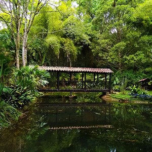 Jardin Botanico Jerico