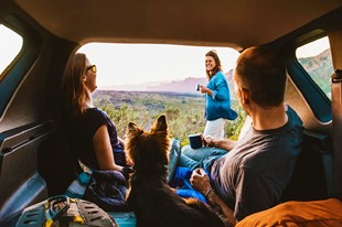 Pet Friendly - Finca Hotel Cabañas y Flores - Jericó, Antioquia - image - 4