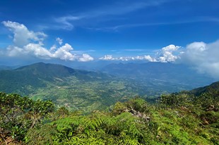 Jericó - Finca Hotel Cabañas y Flores - Jericó, Antioquia - image - 4
