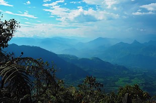 Jericó - Finca Hotel Cabañas y Flores - Jericó, Antioquia - image - 8