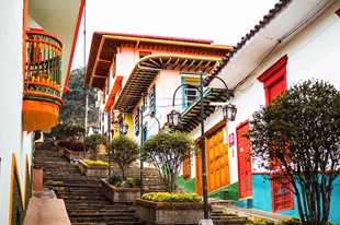 Jericó - Finca Hotel Cabañas y Flores - Jericó, Antioquia - image - 5