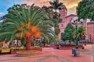 Jericó - Finca Hotel Cabañas y Flores - Jericó, Antioquia - image - 1