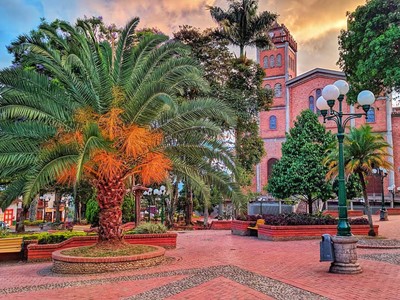 Finca Hotel Cabañas y Flores - Jericó, Antioquia - image - 5